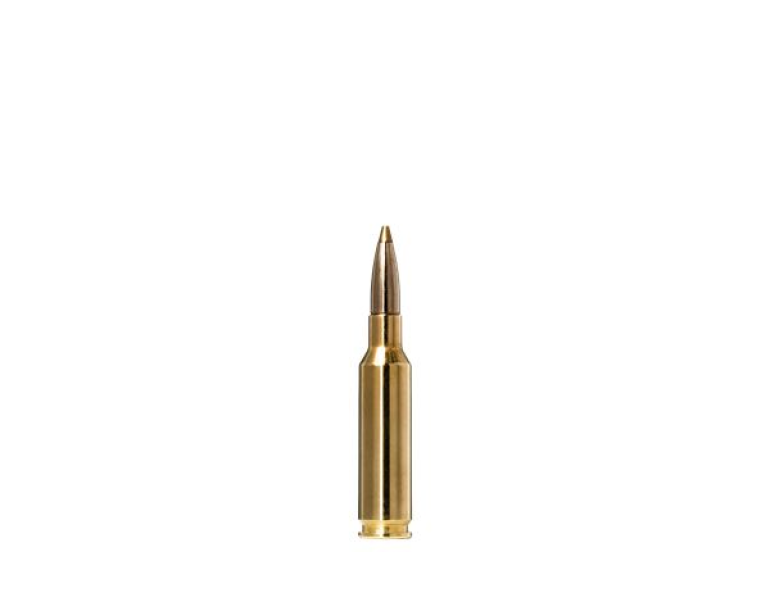 NEW NORMA 6.5 CREEDMOOR 93 GRAIN EVOSTRIKE